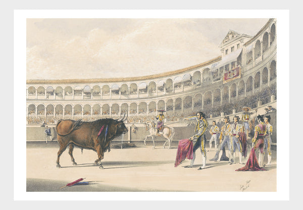 Spanish Matadors Bull Fight Red Cape In Arena II