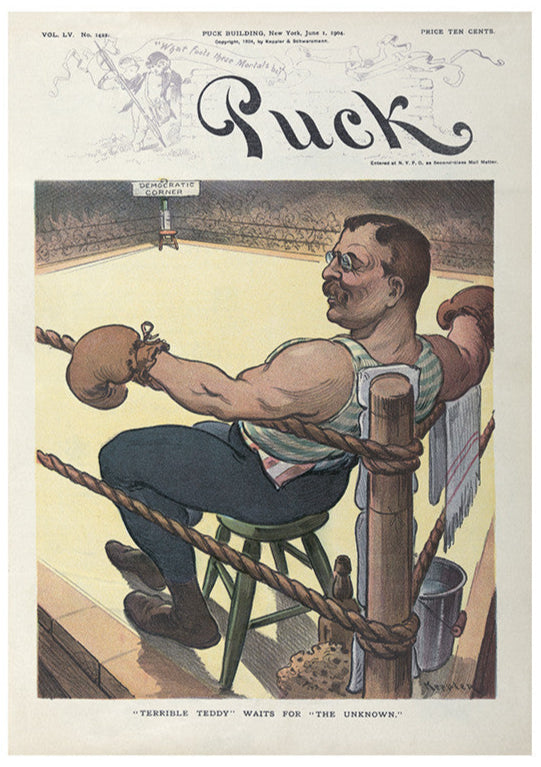 Teddy Roosevelt Boxing Political Cartoon Digital Download